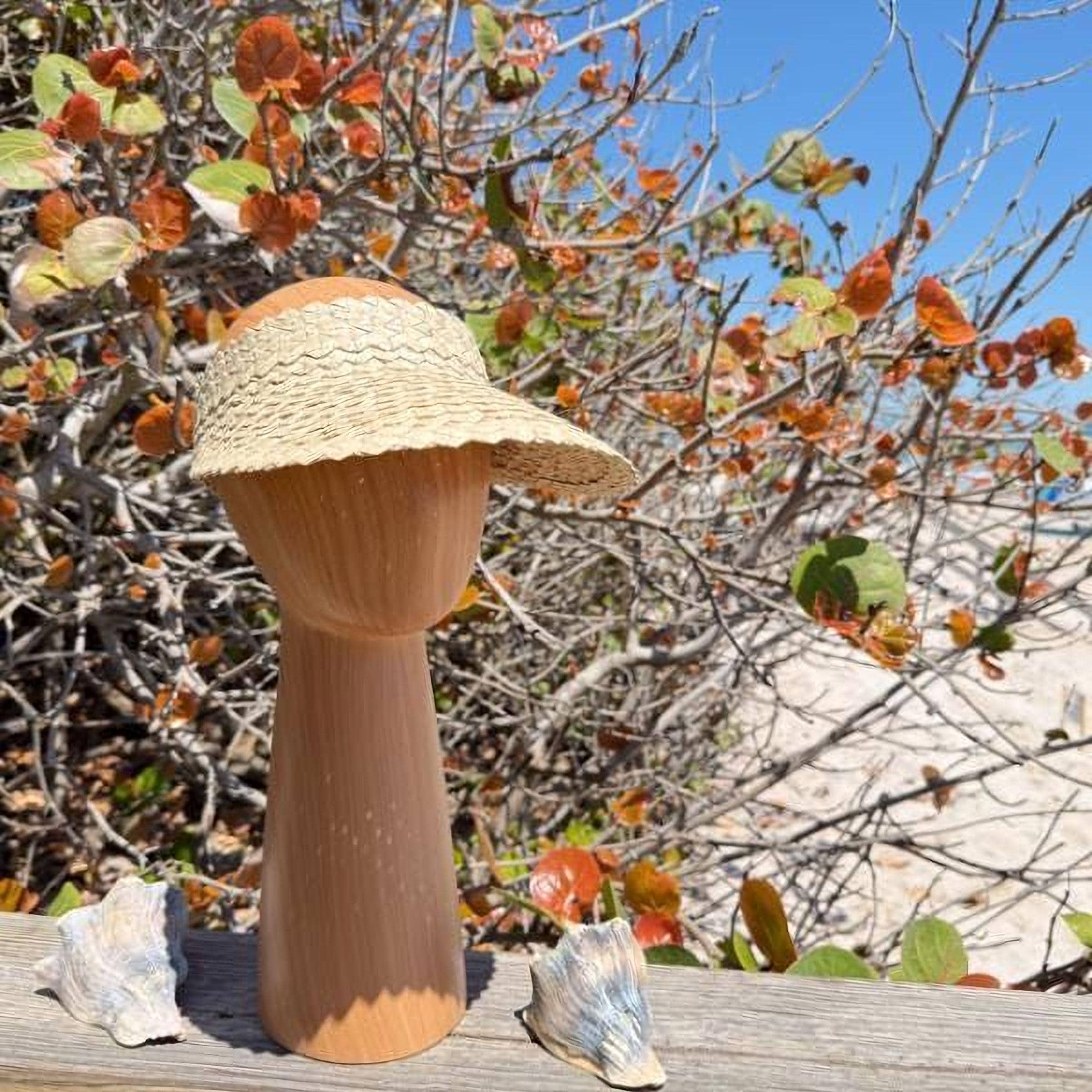 A straw hat is placed on a wooden stand, with seashells and a tree with orange leaves in the background.