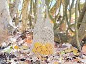 A white mesh bag filled with yellow fruit is hanging from a tree branch in a forest setting, surrounded by fallen leaves.