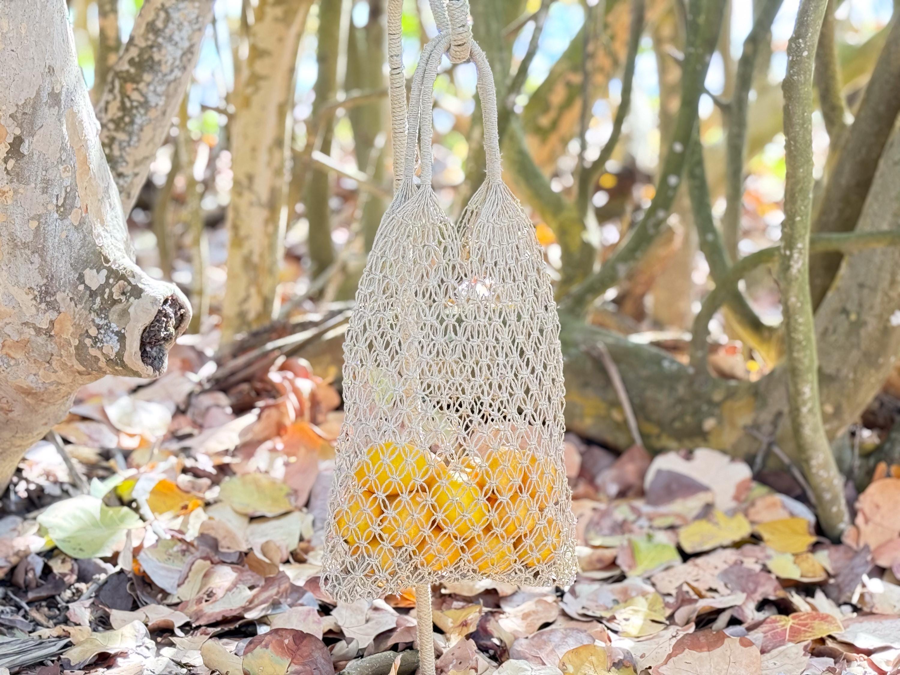 A white mesh bag filled with yellow fruit is hanging from a tree branch in a forest setting, surrounded by fallen leaves.
